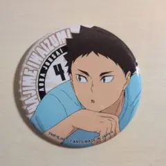 ハイキュー！！ 岩泉一 カラパレ トレーディング缶バッチ