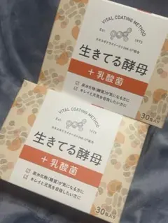2025年最新】生きてる酵母 乳酸菌の人気アイテム - メルカリ