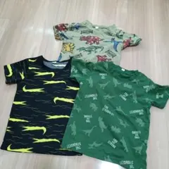 110恐竜デザインTシャツ3枚セット