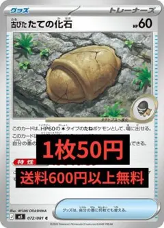 古びたたての化石 M5 072/080 在庫6 アビスアイのサムネイル