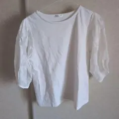 Gracia 白Tシャツ S パフスリーブ 無地
