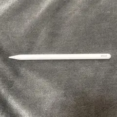 【本体のみ】Apple Pencil 第二世代