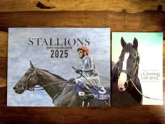 Item thumbnail for item c8a0e7ae-6fe5-45b2-8a6f-94c7d9c02cb9