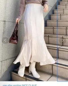 【処分価格】ナイスクラップ　マイナス5キロ　スカート