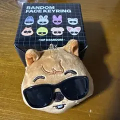 Stray Kids RANDOM FACE KEYRING ハンクオッカ