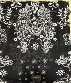 Item thumbnail for item b1a9a9a4-0b9f-4ba5-b06a-7bc307b839d8