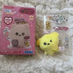 チェゴシム　アクぬい　いぬゴシム