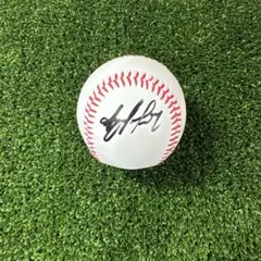 ⭐︎北海道日本ハムファイターズ⭐︎ F・レイエス 選手 直筆サイン