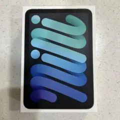 LucKey⭐︎ミピッピ様専用 iPad mini A17Pro wifiモデル