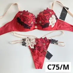 サルート　プラダを着た悪魔　C75/M　RE　96　リボンブラ　ソング　タンガ