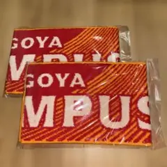 名古屋グランパス 応援タオル 2枚セット