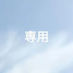 ひでっち様専用