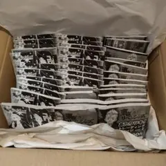 東京リベンジャーズ 缶バッジ くじ 39点 まとめ売り