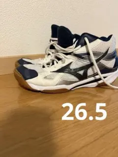 Item thumbnail for item 31353a6d-84ed-4369-81d7-9472cc60de1e