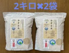 福井県産 特別栽培米 ミルキークイーン 発芽玄米 2kg×2袋　無農薬のサムネイル