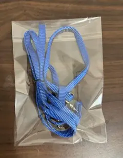 Item thumbnail for item 4fc1774b-4a15-48dc-b7ab-f582cf2608f0