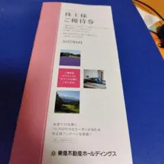 東急不動産　株主優待券　100株　ホテルハーヴェスト