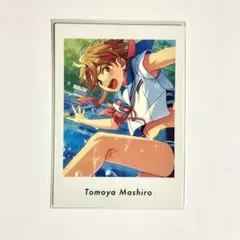 あんスタ　ぱしゃっつ　vol.4 Action 真白友也