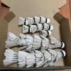 Item thumbnail for item 7c2e1590-70cf-424c-ac34-efa6286ab616