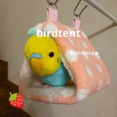 Item thumbnail for item 0440e569-08c2-4a38-9523-fa9d0d06d327