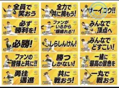 ソフトバンク 応援グッズ