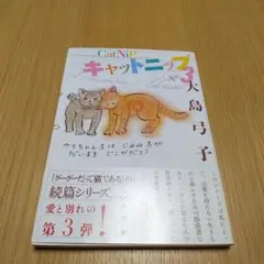 キャットニップ 3