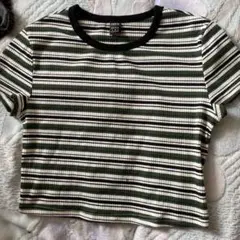 ストライプ クロップドTシャツ 半袖