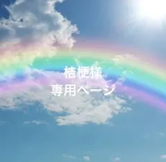 桔梗様専用　オーダー　硬質ケース　デコレーション