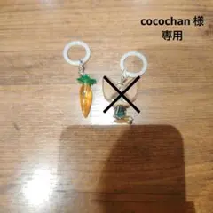 ズートピア めじるしアクセサリー にんじん型レコーダーペン 専用です