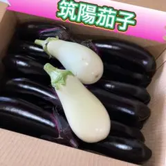 農家直送　農薬不使用　埼玉県産　朝採れ　筑陽茄子　箱込み　2キロ 農薬不使用 埼玉県産 朝採れ 筑陽茄子 箱込み 2キロ - メルカリ