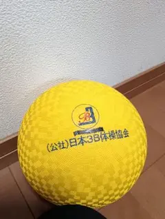 3B体操　Mikasa FT3Tイエロー ボール