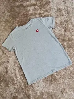 THE NORTH FACE 半袖カットソー グレー
