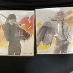 【値下げ価格‼️】安室透 赤井秀一 ミニ色紙セット