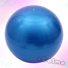 ゆうさん様 まとめ商品 ブルー2点