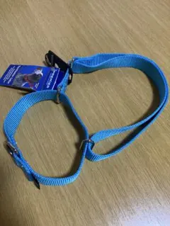 新品　Premier プレミアカラー　 XL 首輪　特大犬用　大型犬用　水色