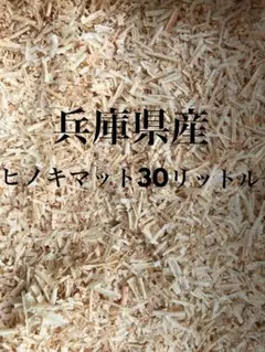 Item thumbnail for item c780d1ab-e174-4b1d-957d-3de3f9b12c69