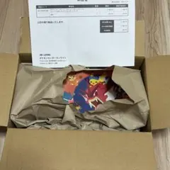 【未使用未開封品ポケモンセンターヒロシマ　スペシャルBOX】【即購入可能】