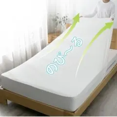 Item thumbnail for item e5e1d911-f730-48df-a5e5-a0a582b2ac4f