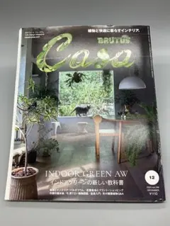 Casa BRUTUS 2024年12月号 インドアグリーンAW【1513】