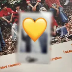 idntt ジウン ポラロイド