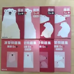 四谷大塚「予習シリーズ」5年　国語　上下巻　テキスト＆演習問題集