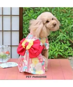 PET PARADISE 花柄 着物 DSS