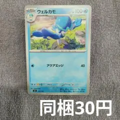 【在庫1】ウェルカモまとめ買い