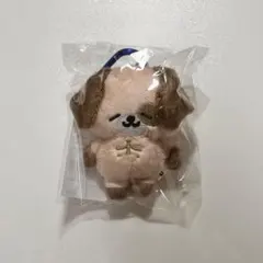 2026年最新】SUPERjunior ぬいぐるみの人気アイテム - メルカリ