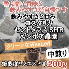コスタリカ セントタラス SHB 200g 自家焙煎 コーヒー豆 注文後焙煎のサムネイル