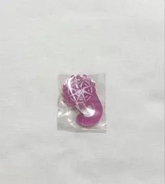 岩田剛典 カラビナキーホルダー JSBLAND 新品未使用