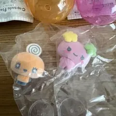 新品未開封　たまごっち　カプセルフロッキーズ　めめっち　ふらわっち