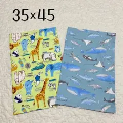 Item thumbnail for item e1b81c51-f930-4191-a107-cf2b8dd52d46