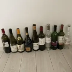 ワイン空き瓶 10本セット