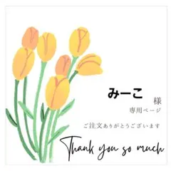 みーこ様 専用ページ